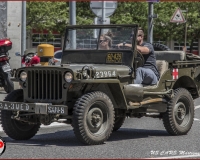 TSR Watermark - 0595
